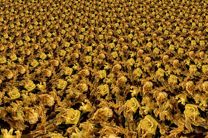 preserved_field