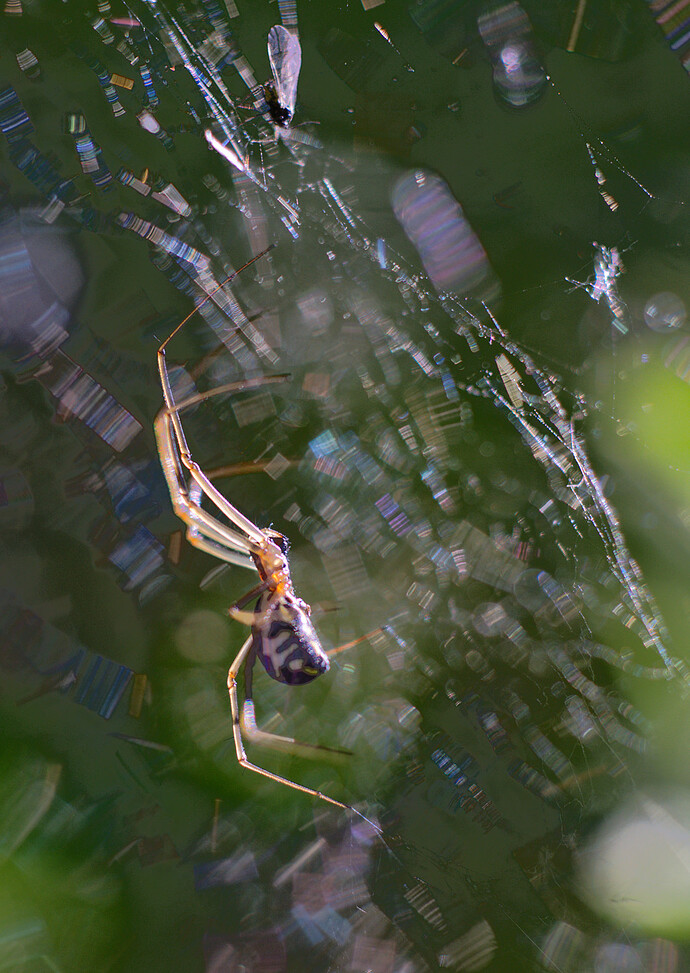 2023-05-23__DSC05176_1