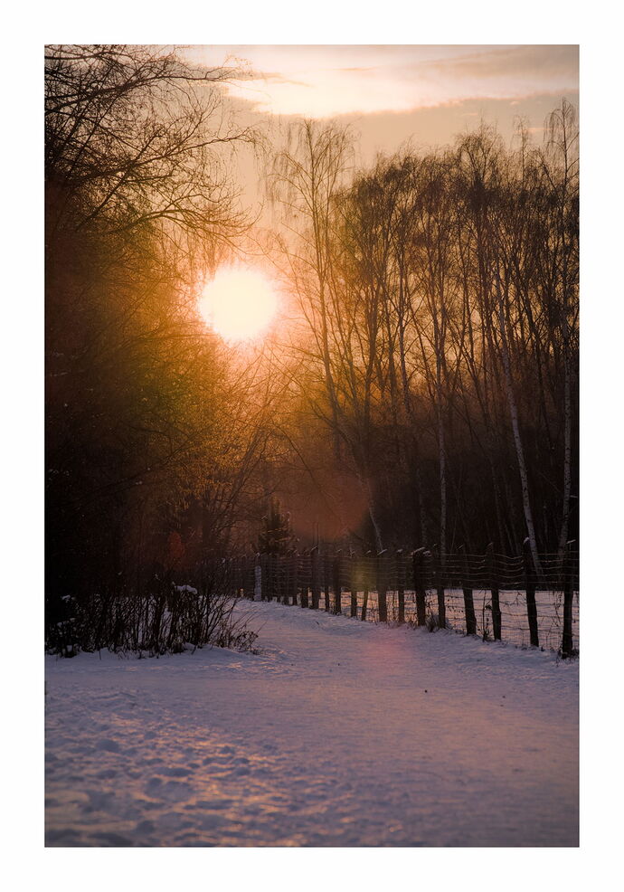 DSCF8647_01