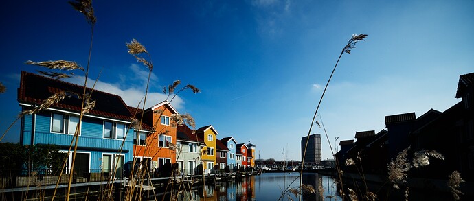 20260303-124152-DSC_0173