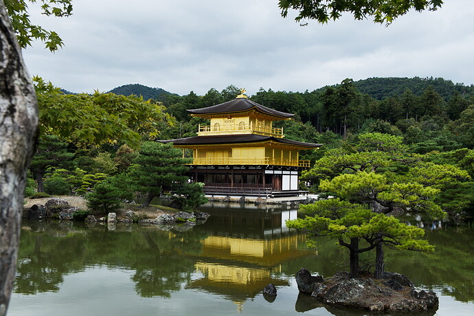 2025_10_11-10_32_54_DSCF7088