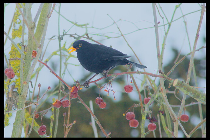 260127_110912_DSC08407