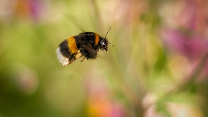 20190831_S%C3%BCdpark_8301