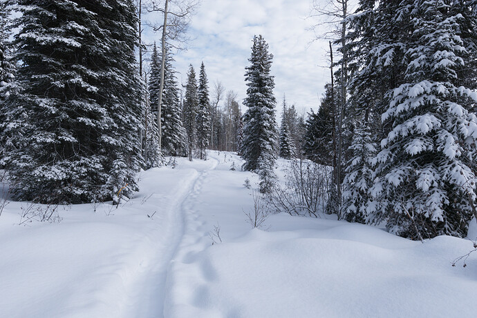 2020-02-25_10-40-25_0