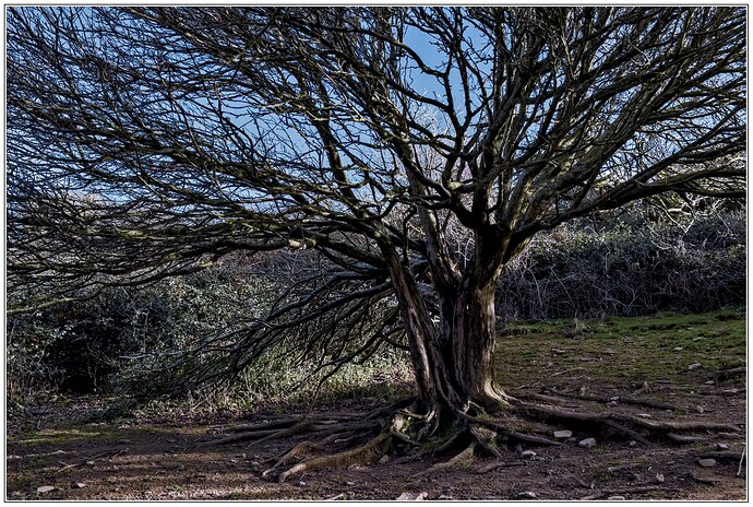 2022-01-31-11.58.58.0_02