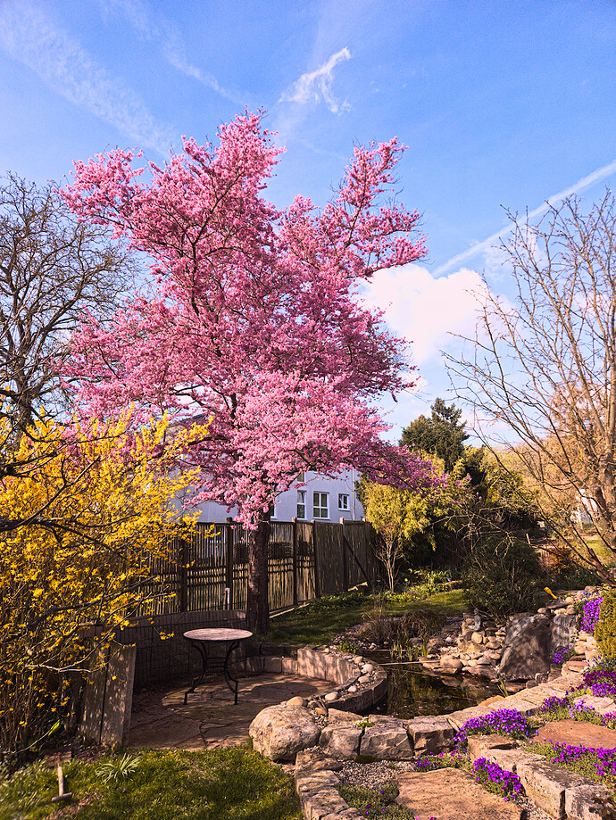 2026-04-06-260406_111909_P06_LR