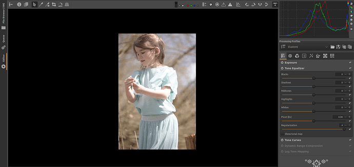 Capture d’écran du 2024-04-10 21-11-31