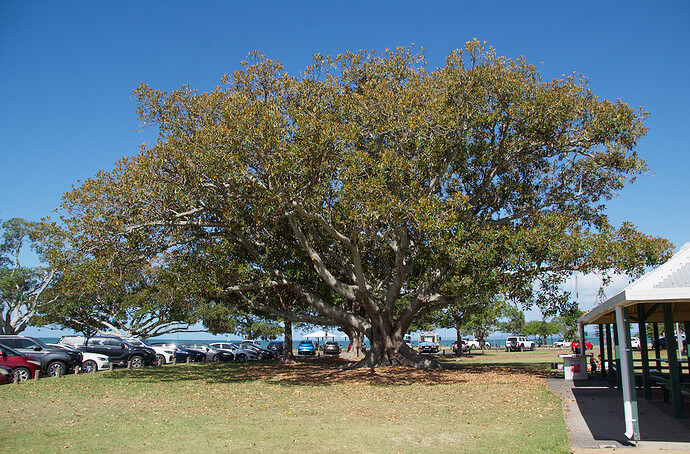 2026-01-09_15-02-36.45_DSC0580