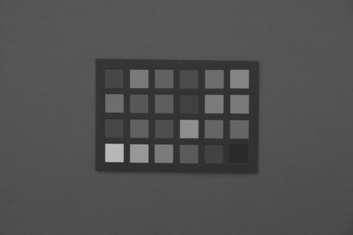 SDIM1101-RAW-G