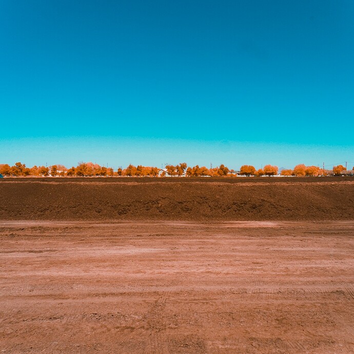 20251004_0014