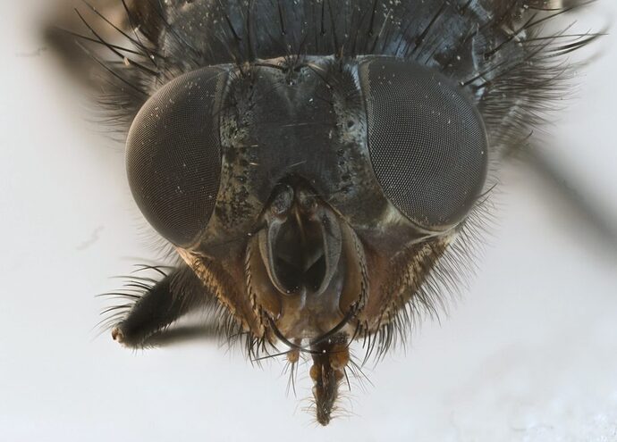 2025-08-27 19-53-29 (C,S4)