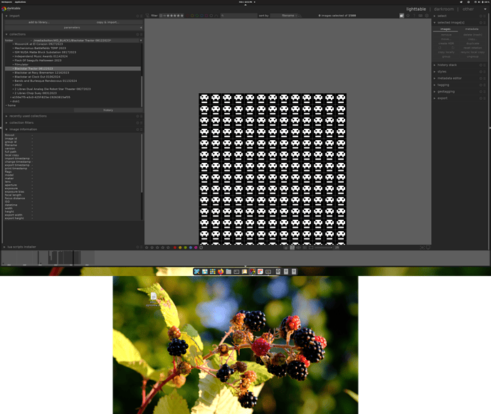 Screenshot from 2024-02-06 22-31-35