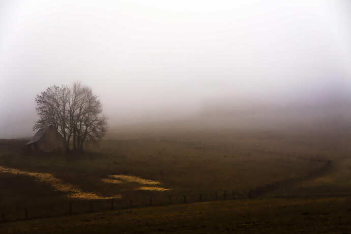 IMG_1391 Rawtherapee and GIMP (1)