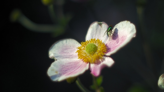 20190831_S%C3%BCdpark_8289