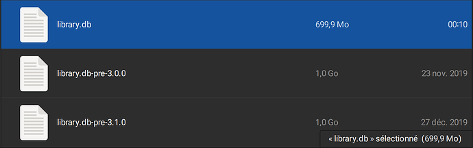 Capture d’écran du 2020-02-27 00-13-30