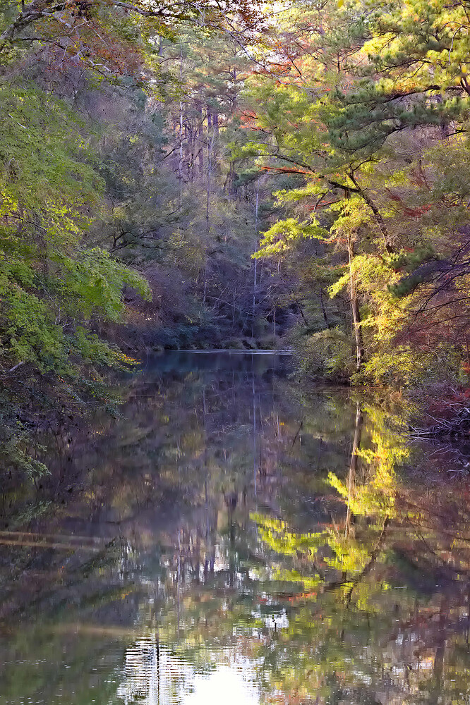 IMG_7097 ART and GIMP (jpeg-li)