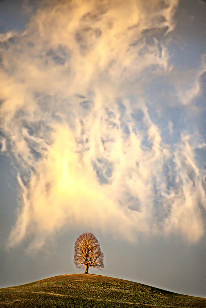 DSC_2111-GIMP_LAB and GMIC Artistic Ilustration Look