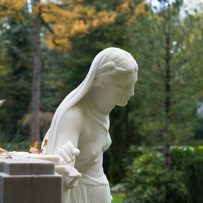 2025-11-02 14-38-42 E-M5MarkII 44241 - Köln Melaten