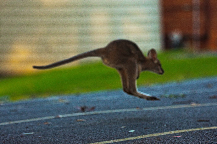 2021-04-21_16-31-08.08_DSC9093