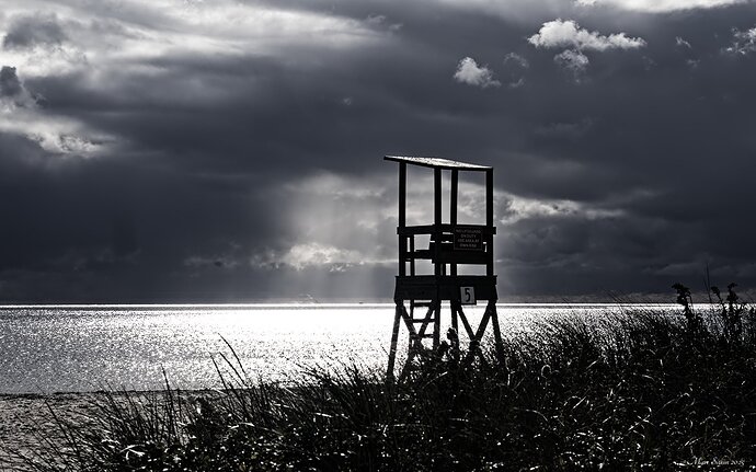 _0M16967