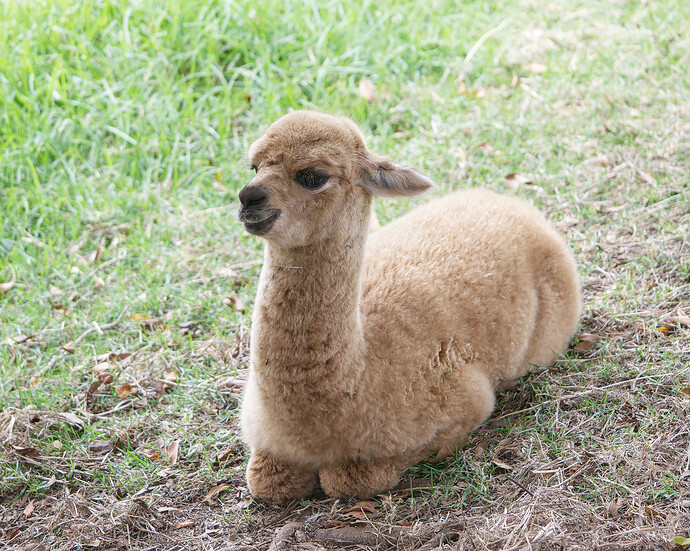 2016-04-15_12-49-50DSC_2359