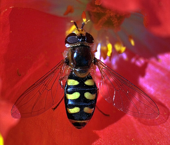 DSC_5420_edited