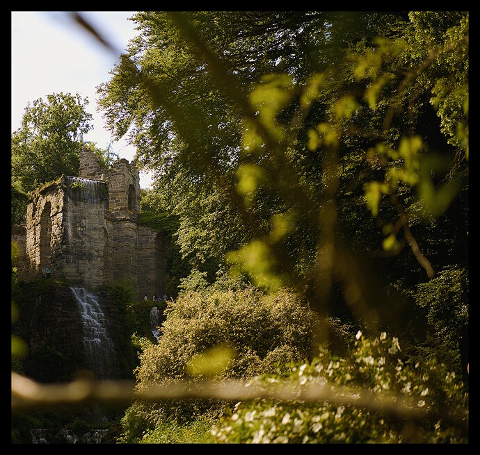 BergPark_HDBB