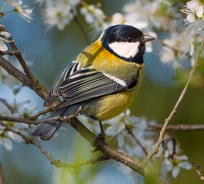 Screenshot 2026-03-21 121156