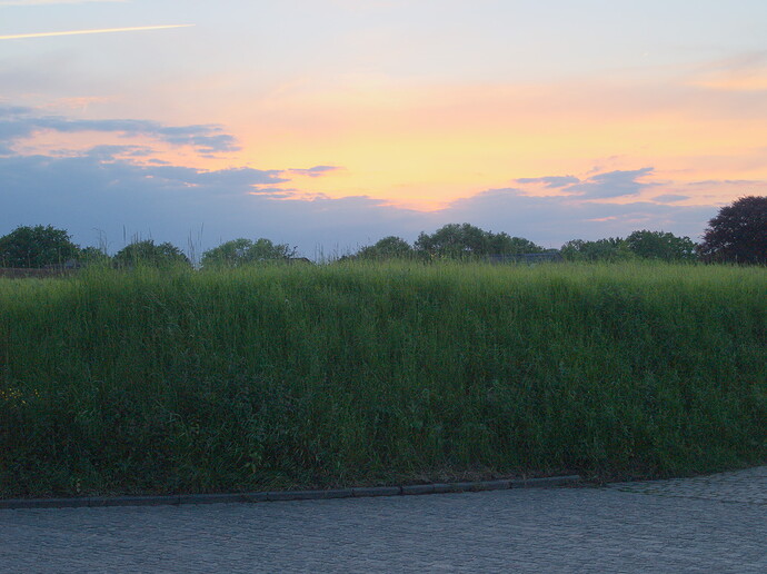 P1010620-2