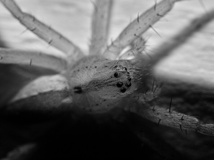 20260830_112253_DSCF4339_compressed