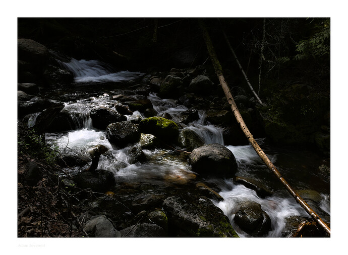 _DSC6136