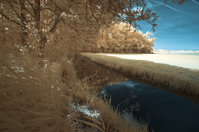 IRGP4981-Wandeling-ISO100