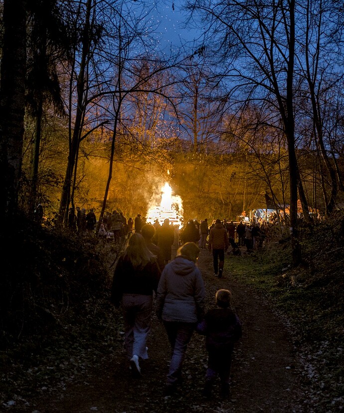 260404_202536_DSC09408