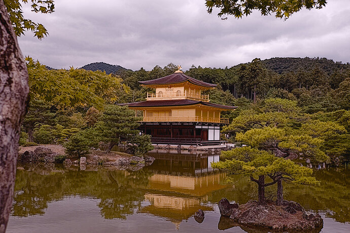 2025_10_11-10_32_54_DSCF7088