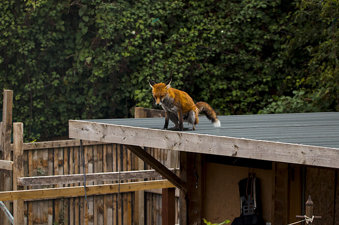 26-09-03__MG_1798