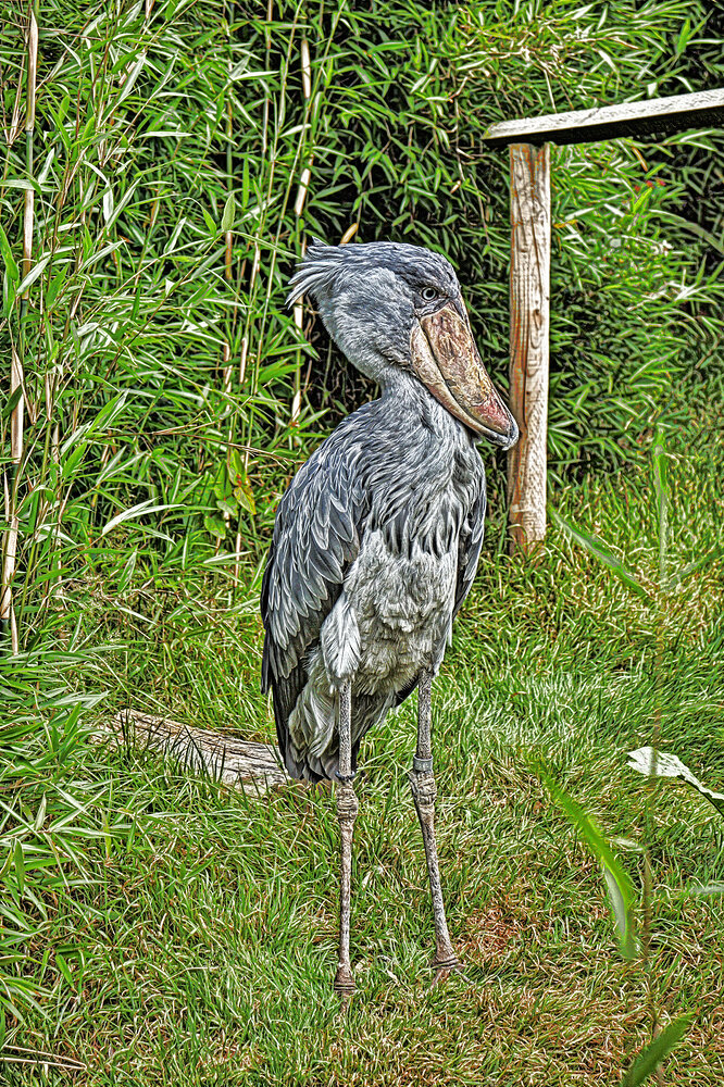 IMG_0585_edited