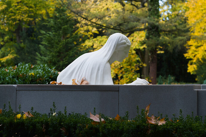 2025-11-02 14-38-12 E-M5MarkII 44239 - Köln Melaten