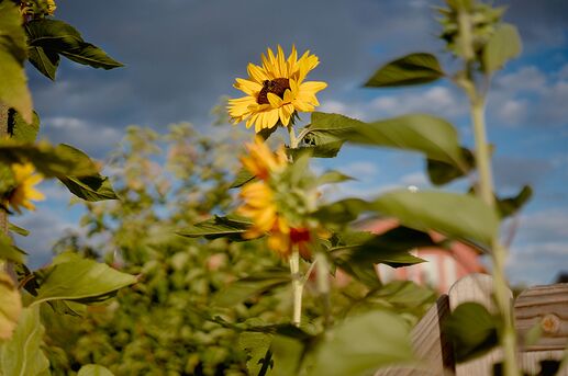 260905_183834_DSC07637