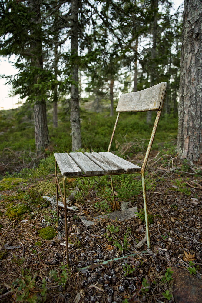 Taiga chair