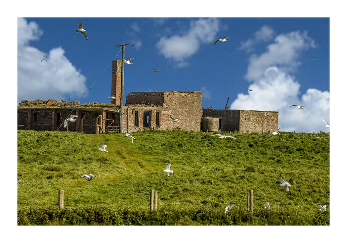 20250802_20250523-1716-9868_Dia_1920