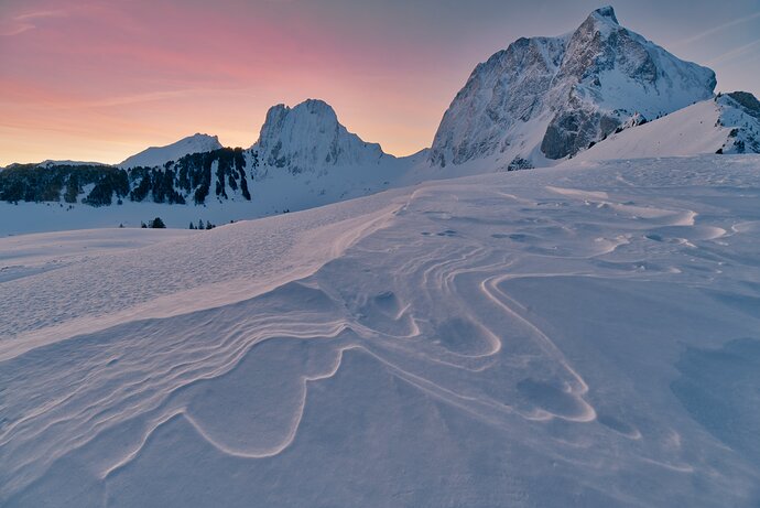 20240121-DSC_6661_01