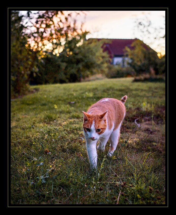 260824_203703_DSC07493