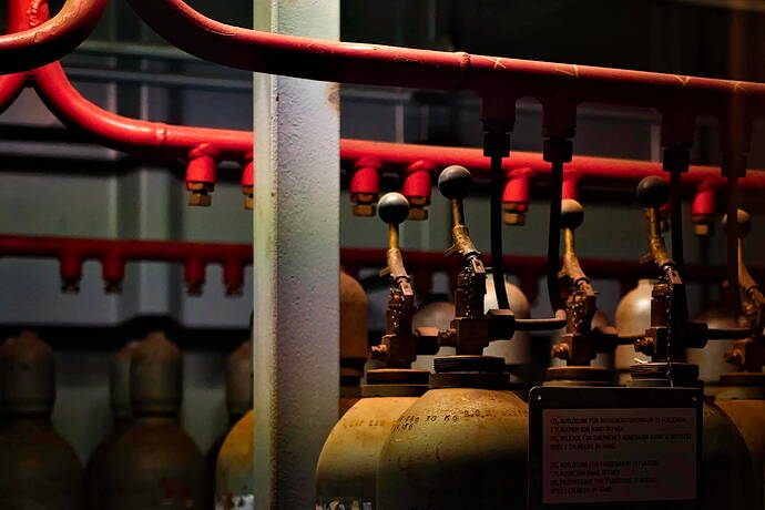 251115_143202_DSC05895