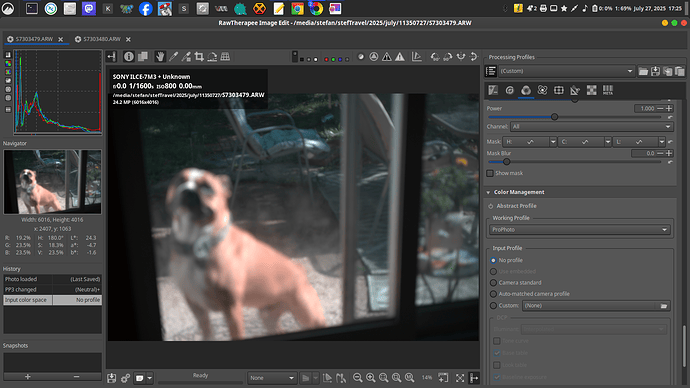Screenshot from 2025-07-27 17-25-02