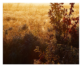 2024-09-29 04.27.55 (1)