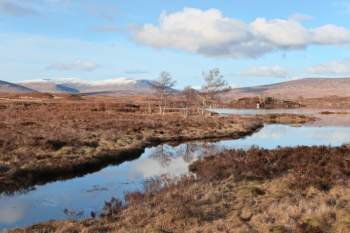 20240302-1709-8228_rt_01_med