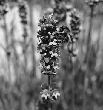 IMG_0348_02
