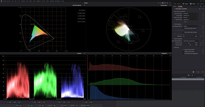 gamut mapping
