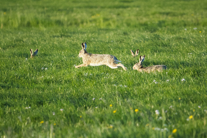 20260430-191945-DSC_0120-0.NEF