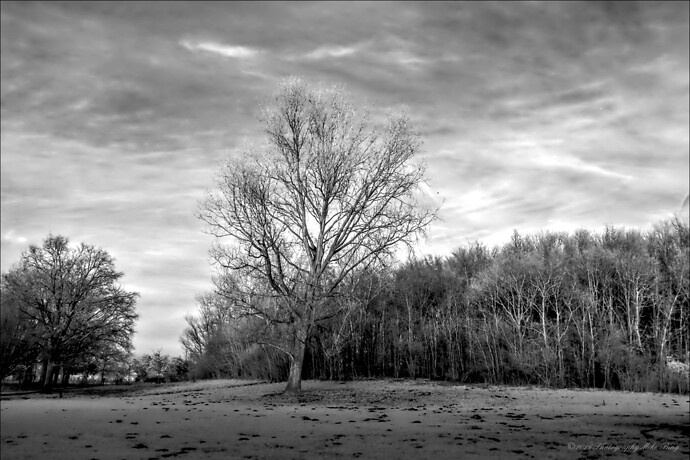 616818180_25944605115174220_8436493125154963446_n